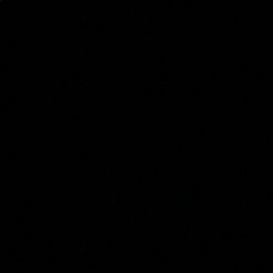 Meet your Posher, Ryder